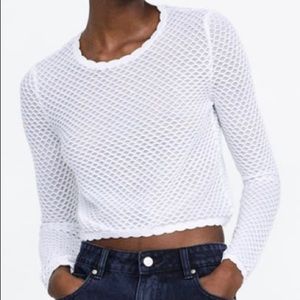 Zara Floral Knit Sweater